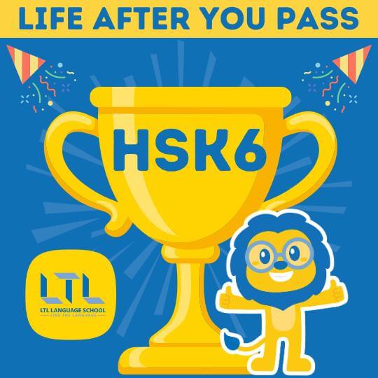 Life after HSK 6